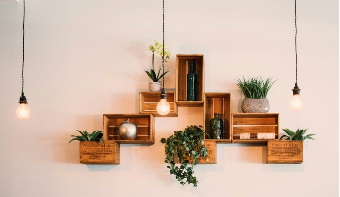 designed-shelves-with-plants-and-books-bdo